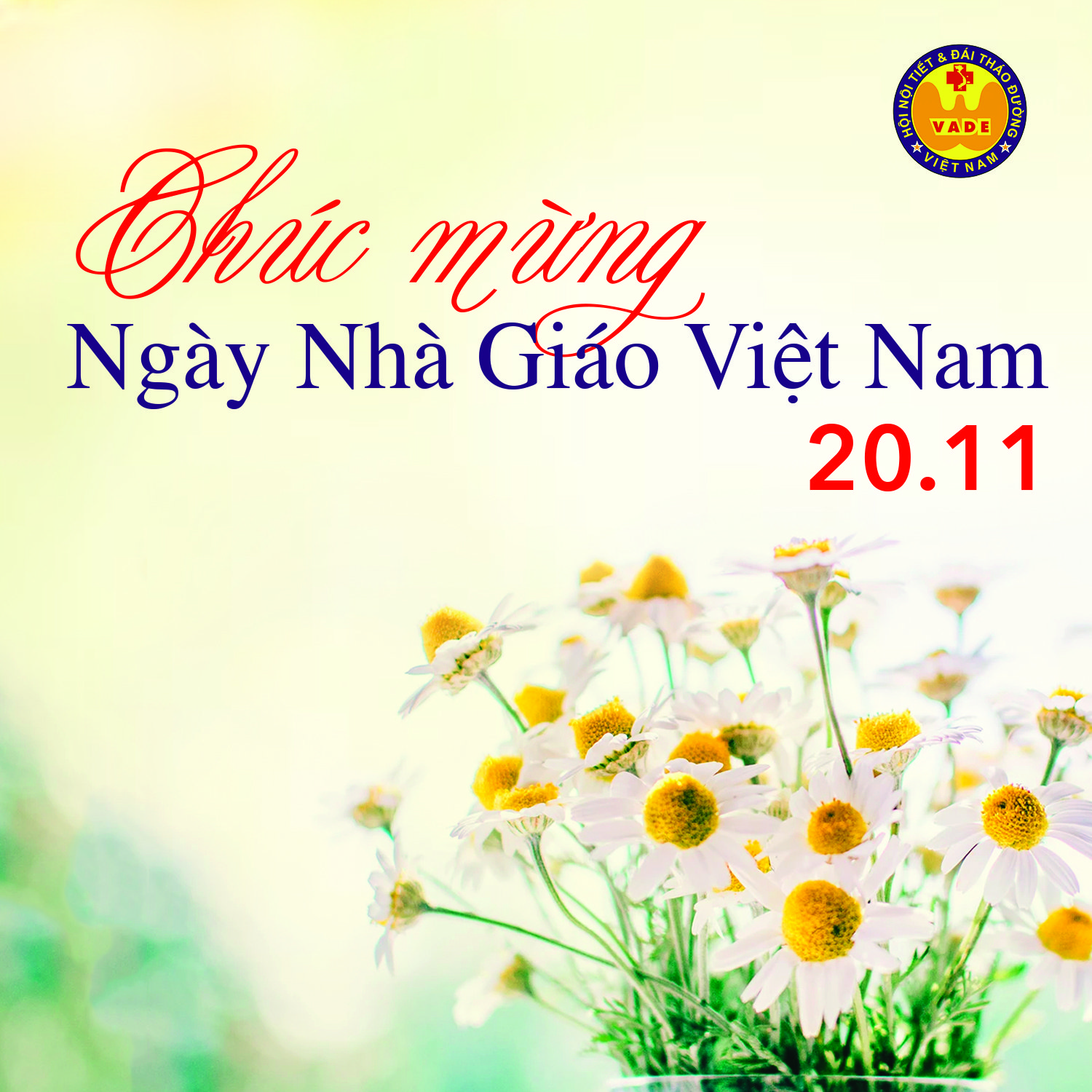 Chúc mừng ngày nhà giáo Việt Nam 20/11 – Hội Nội tiết & Đái tháo đường Việt  Nam