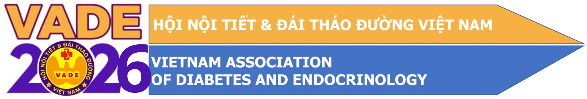 Hội Nội tiết & Đái tháo đường Việt Nam